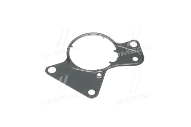 Прокладка, тамденний насос VAG 2.5TDI T5 AXD/AXE/BAC/BLJ/BLK/BNZ/BPC/BPD/BPE